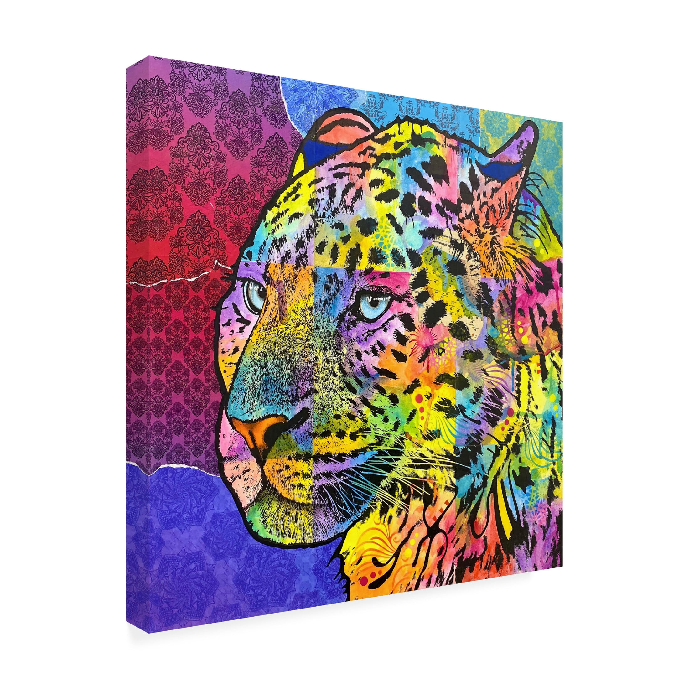 Canvas Wall Art - Dean Russo 'Chobe' Wall Art for Living Room, Bedroom, or Office Décor by Trademark Fine Art - 35 x 35 Inches