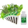 thumbnail image 1 of Kit de cápsulas para semillas AeroGarden, variedad de hierbas italianas, 6 cápsulas, 1 of 3