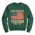 thumbnail image 2 of Men's 250th Anniversary Celebration Sweatshirt Crewneck Independence Day Tunic Blouse Patriotic Print Long Sleeve Crewneck Casual Holiday Tops, 2 of 5