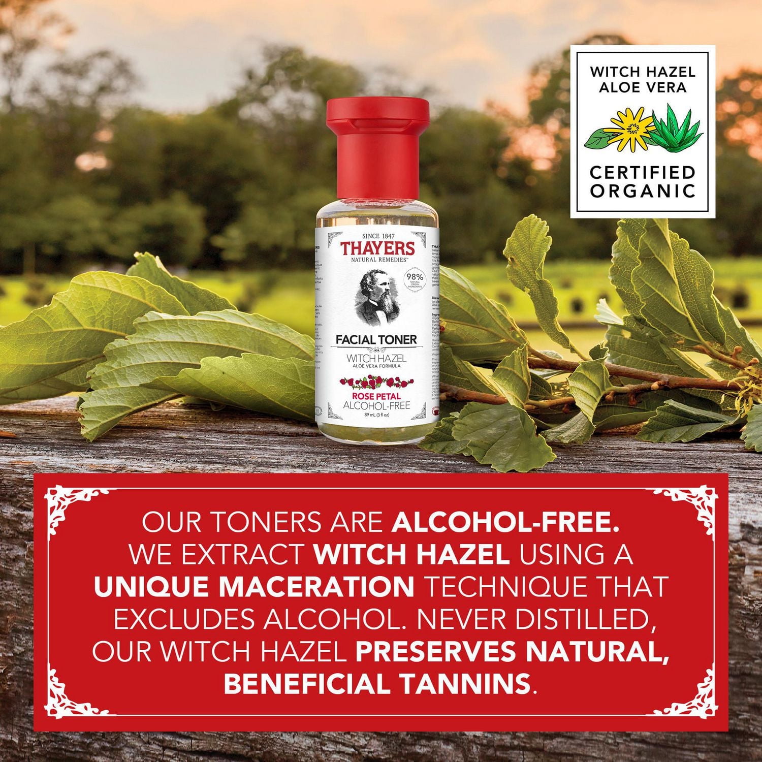 THAYERS Rose Petal Facial Toner Alcohol-Free Witch Hazel Aloe Vera Formula Travel Size 89mL