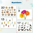 thumbnail image 2 of Hungry Brain Numbers Flash Cards for Babies and Infants for Early Learning & Stimulation l 8 Months to 4 Years, 2 of 7