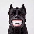 thumbnail image 4 of Funny Dog Muzzle with Teeth, Halloween Pet Costume Accessory with Adjustable Strap, Novelty Rubber Muzzle for Photos, Parties and Short Dress-Up, Black, 1 Count, 4 of 9