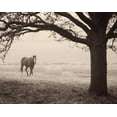 thumbnail image 2 of Van Swearingen, Debra 32x26 Gold Ornate Wood Framed with Double Matting Museum Art Print Titled - Hazy Horse I, 2 of 4