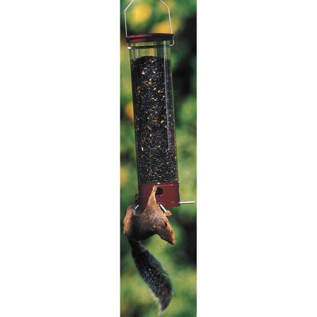 Droll Yankee Dipper Bird Feeder Walmart Com