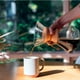 thumbnail image 3 of Cafetera de goteo, CM-6A para 6 tazas Chemex Classic Series, Original Leather, 3 of 3
