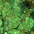 thumbnail image 1 of Ahgly Company Indoor Square Oriental Green Industrial Area Rugs, 5' Square, 1 of 4