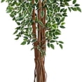 thumbnail image 3 of Nearly Natural 70" Variegated Ficus Artificial Tree UV Resistant (Indoor/Outdoor), 3 of 5