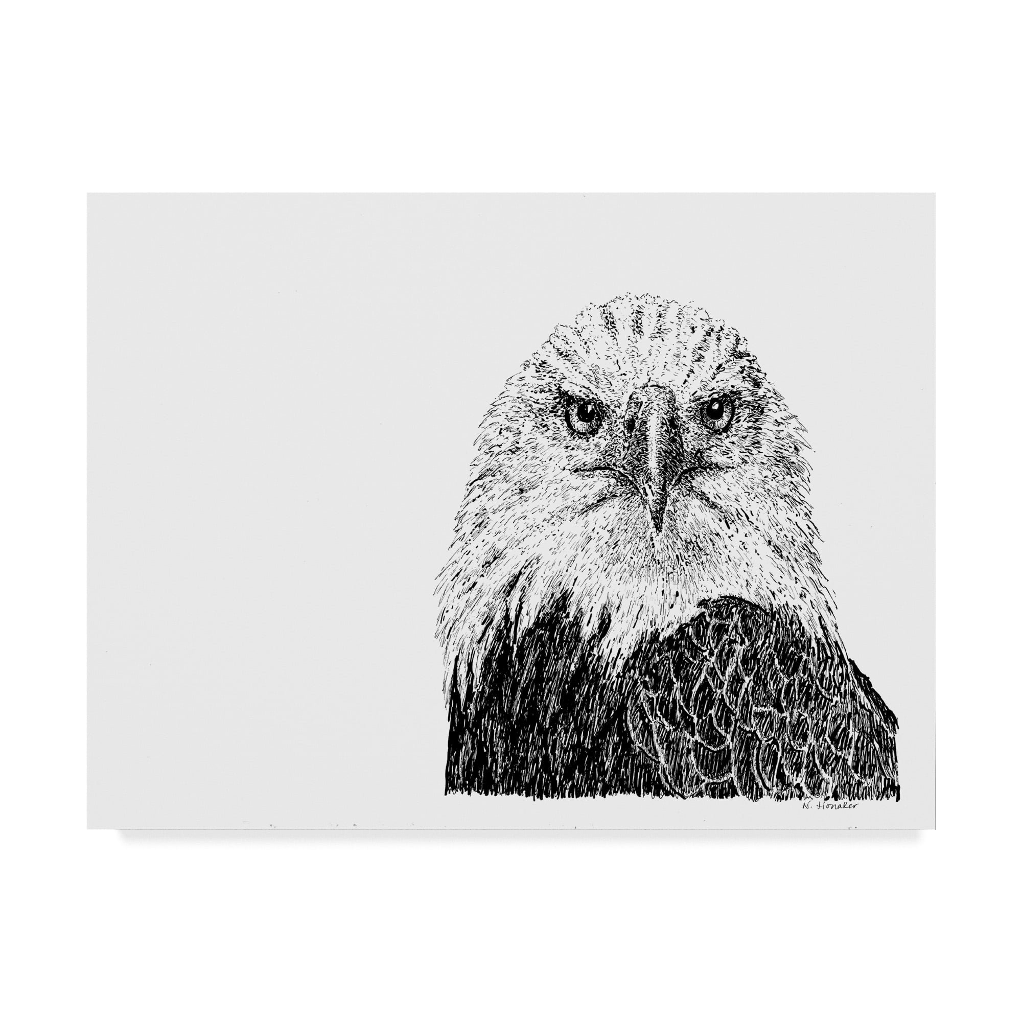 Trademark Fine Art 'Bald Eagle Line Art' Canvas Art by Let Your Art