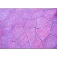 thumbnail image 1 of Ahgly Company Indoor Rectangle Patterned Violet Purple Area Rugs, 8' x 10', 1 of 6