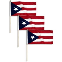 Puerto Rico Flag 12 x 18 inch (3 PK)