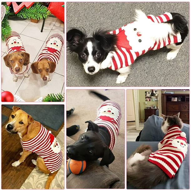 Large dog hot sale sweaters walmart