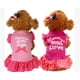 thumbnail image 4 of Camisa de vestir para perro de 4 piezas, falda para cachorro, lindo vestido para perro, ropa de verano para perros pequeños y gatos (ángel rosa, mediano (8-11 libras)) Shuxiu Wang 9024719203195, 4 of 5