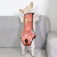 thumbnail image 4 of CSChome Pet Menstrual Pants Reusable Pet Diaper - Waterproof Dog Strap Briefs, Cartoon Pattern with Snap Button, 4 of 6