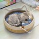 thumbnail image 4 of Summer Cat Bed Woven Removable Upholstery Sleeping House Cat Scratch Floor Rattan Wear-resistant Washable Cat Pet Supplies ShopWise Round, 4 of 7