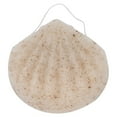 thumbnail image 3 of Esponja de limpieza facial, esponja facial exfoliante, esponja facial portátil, esponja facial reutilizable, funcionalidad versátil, 3 of 8