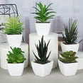 thumbnail image 1 of Mini planta artificial de plástico en maceta, combinación de decoración de escritorio, planta de simulación, flor falsa de plástico carnosa, planta verde bonsái, 1 of 4