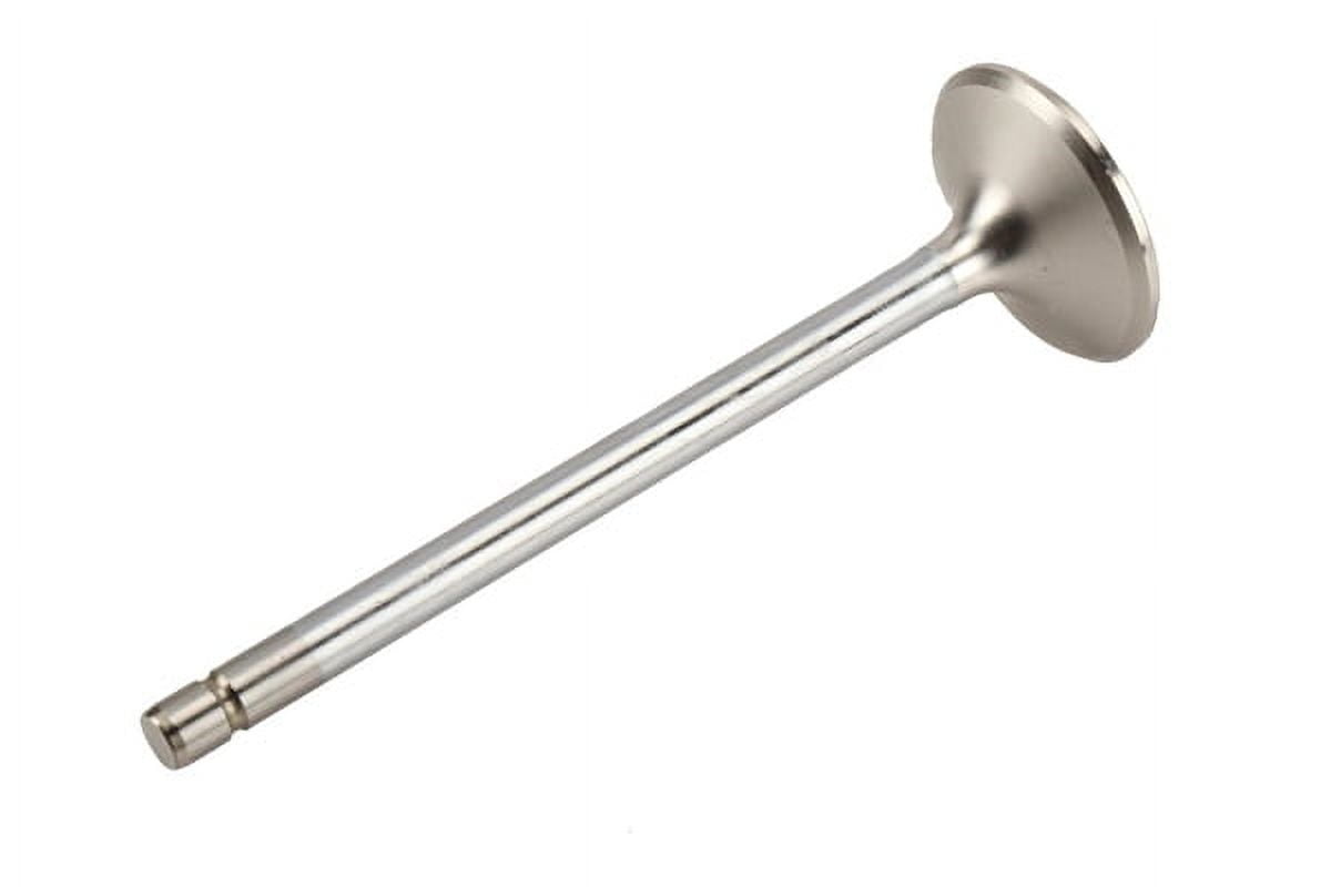 GM 12618110 Engine Exhaust Valve