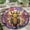 Honey Bee1, variant on Round Area Rug, Monarch Butterfly Non-Slip Floor Mat, Soft Washable Carpet for Living Room Bedroom Decor 24 Inch