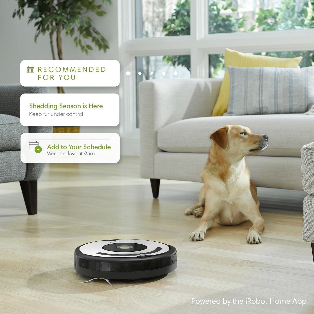 iRobot Roomba 670 Robot Vacuum-Wi-Fi Connectivity, Works with Google Home, Good for Pet Hair, Carpets, Hard Floors, Self-Charging - image 5 of 12