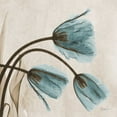 thumbnail image 2 of Koetsier, Albert 26x26 White Modern Wood Framed Museum Art Print Titled - Tulips L83, 2 of 4