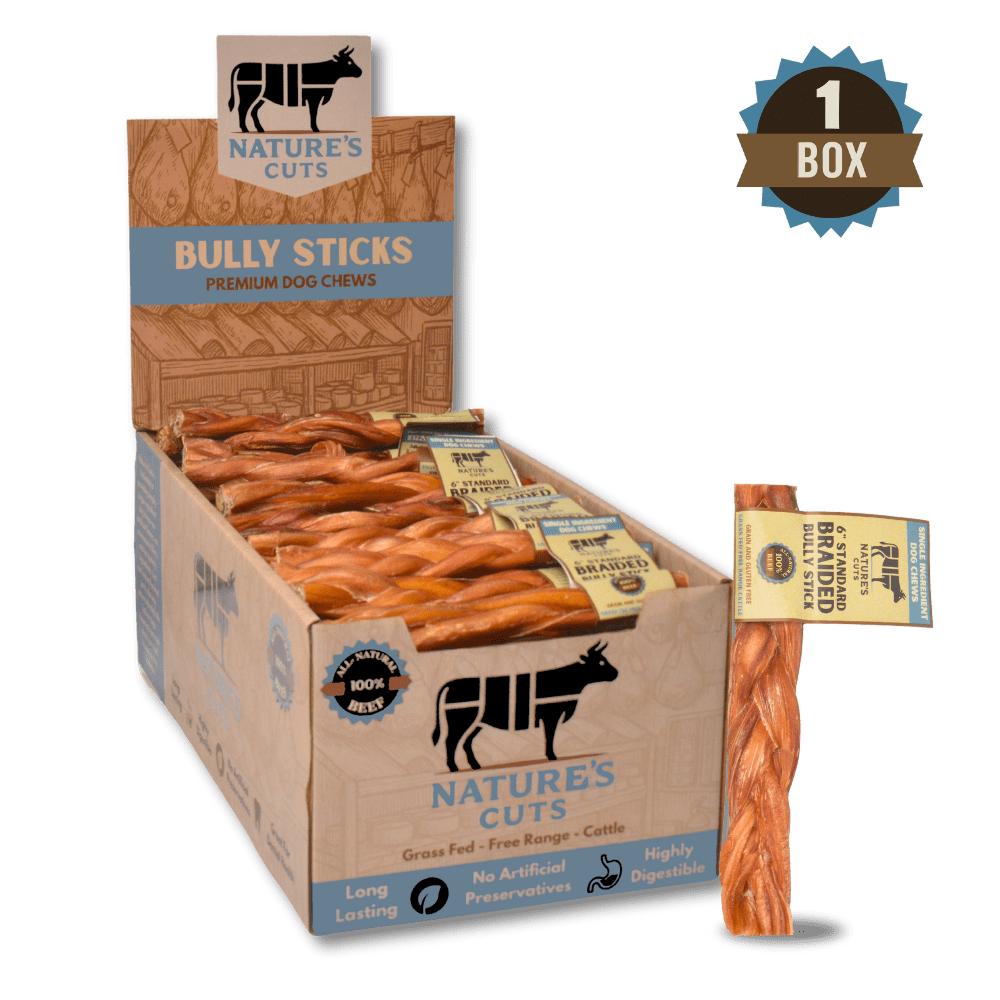 6" Braided Standard Bully Sticks Display Box (60 ct) with Individual UPC Tags - 100% All Natural Beef