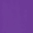 thumbnail image 4 of Playera Blusa De Capybara Con Una Hamburguesa Capibara Color Morado Talla Mediana Marca Emil SaEs, 4 of 4