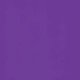 thumbnail image 4 of Playera Blusa De Capybara Con Una Hamburguesa Capibara Color Morado Talla Chica Marca Emil SaEs, 4 of 4
