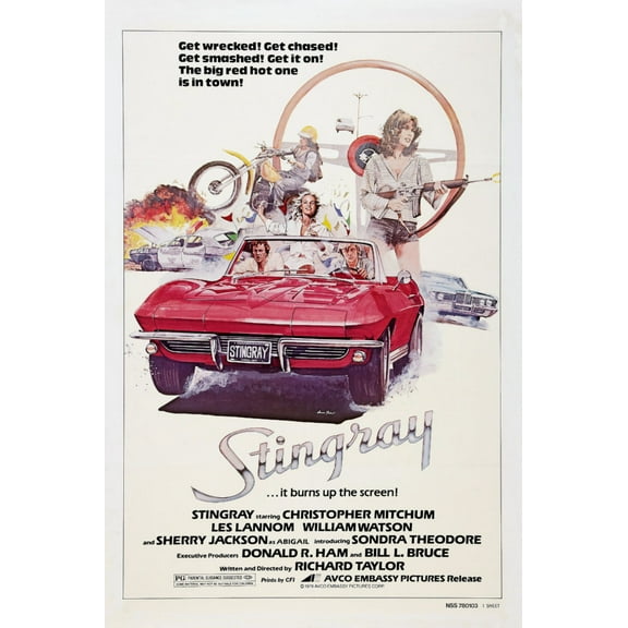 Stingray Poster Corvette 16x24 Poster Medium Art Poster 16x24 Square Adults Western Graphic