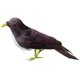 thumbnail image 1 of Simución de pájaro emplumado falso artificial, pájaros de pie, decoración de para el hogar, foto 4 Zulema Pájaros artificiales coloridos, 1 of 8