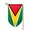 Fillet, variant on Guyana Flag Garden Flag Double Sided Small Flag Yard Home Decorative Flags Banner 12.5 x 18 Inch Fillet