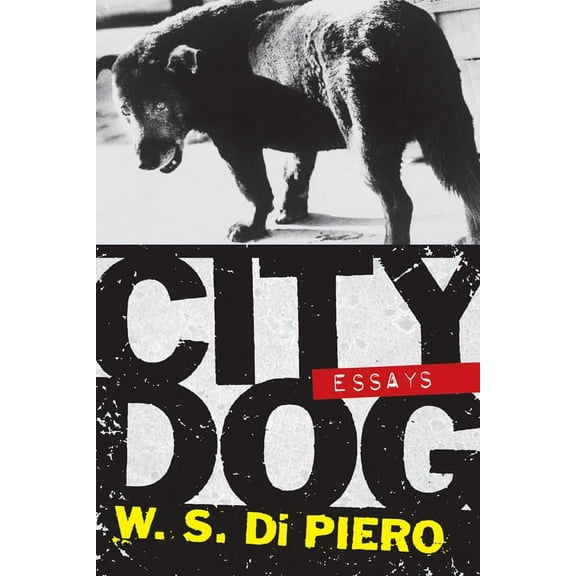 City Dog : Essays (Paperback)