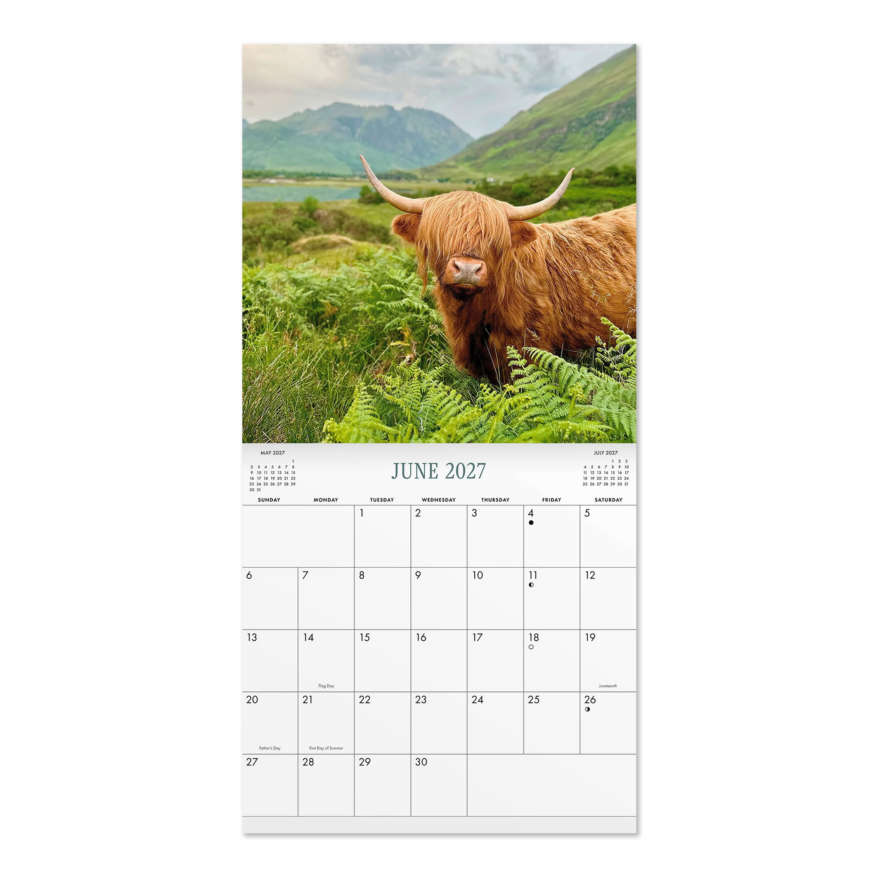 2027 Highland Cows Wall Calendar 12x12 January-December Gridded