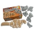 thumbnail image 3 of Yellow Door Dig and Discover - Dinosaur Pack, 3 of 4