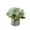 Green, variant on Tuscom Artificial Flower Arrangement with Small Ceramic Vase, Fake Silk Variety Flower Balls for Home Party Office Table Decoration
