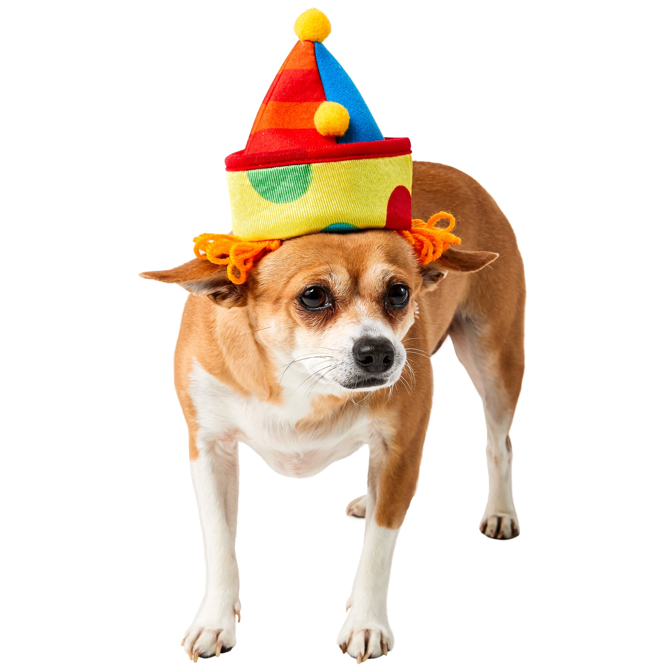 Rubies Costume Company Happy New Year Pet Hat Small/Medium 