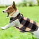 thumbnail image 1 of unbranded Para Mascotas Estilo Simple Y En Fleece Multicolor Para, 1 of 6