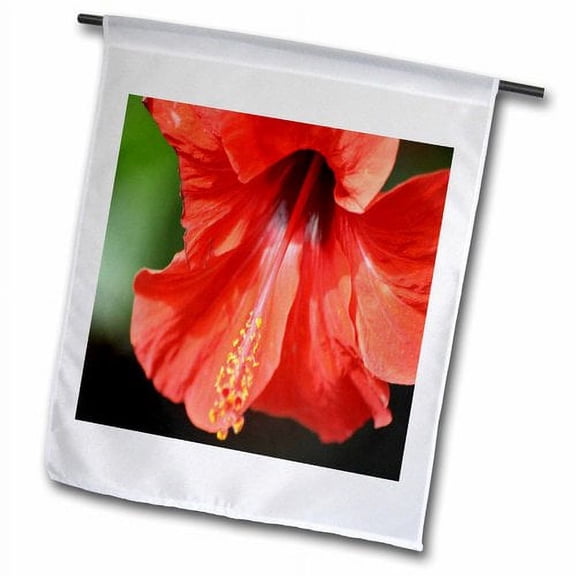 3dRose, Red Petal and Anther with Pistil of Hibiscus Flower, 12 x 18 inch Garden Flag