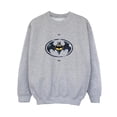 thumbnail image 1 of DC Comics Boys The Flash Batman Metal Logo Sweatshirt, 1 of 4