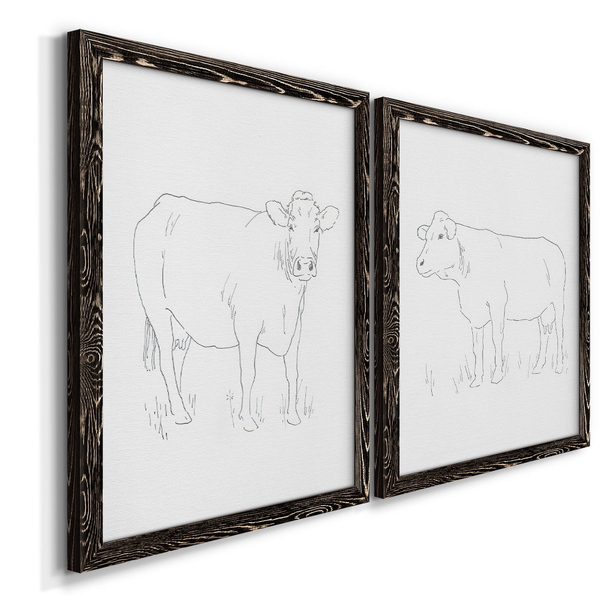 Limousin Cattle III - Premium Framed Canvas 2 Piece Set - Ready to Hang