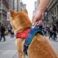 thumbnail image 5 of AuroraX Breathable No Pull Dog Harness Outdoor Dog Harness Chest Strap Reflective Adjustable Comfortable Easy On Dog Harness for Walking Training Red, 5 of 6