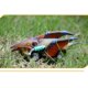 thumbnail image 5 of Vehículos Juguetes para niños de 3 a 9 años Coches de dinosaurios para niños Niñas, 5 of 5