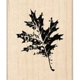 thumbnail image 1 of Sello de caucho montado en madera Inkadinkado G Hoja de roble, 1 of 1