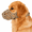 Brown, variant on Breathable Basket Dog Muzzle, Adjustable for Biting, Chewing & Scavenging