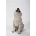 thumbnail image 4 of Hi-Line Gift Ltd Howling Wolf Pup Statue, 4 of 4