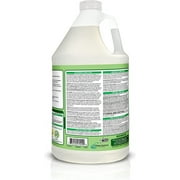 OdoBan Disinfectant Concentrate and Odor Eliminator, 2 Gallons, Original Eucalyptus Scent
