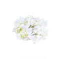 thumbnail image 2 of Floleo Flower Garland, Artificial Hydrangea Vine Flowers, Hanging Fake Hydrangeas Vine for Room Anniversary Wedding Birthday Christmas Wall Arch Decor, 6.5 Ft 20 Lamps, Floral Garland, White Flower, 2 of 6