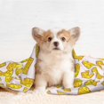 thumbnail image 4 of Pofeuu Cheese Print Puppy Blanket,Dog Blankets,Pet Blanket Cozy Cat Blankets for Indoor Cats, Fuzzy Pet Blanket for Kitten Doggy Dog Blankets-Medium, 4 of 8