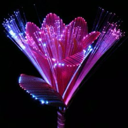 Fiber Optic Flowers