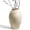 13.5" Beige White, variant on LE TAUCI 13.2" Tall Ceramic Vase in Earthstone, Large Rustic Farmhouse Decorative Flower Vase for Dining Table, Living Room & Wedding Centerpieces Floor Vase