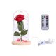thumbnail image 1 of Red Silk Rose with USB LED Copper Wire String Light Preserved in Glass Dome on Wooden Base with for Valentine(Beige), 1 of 3